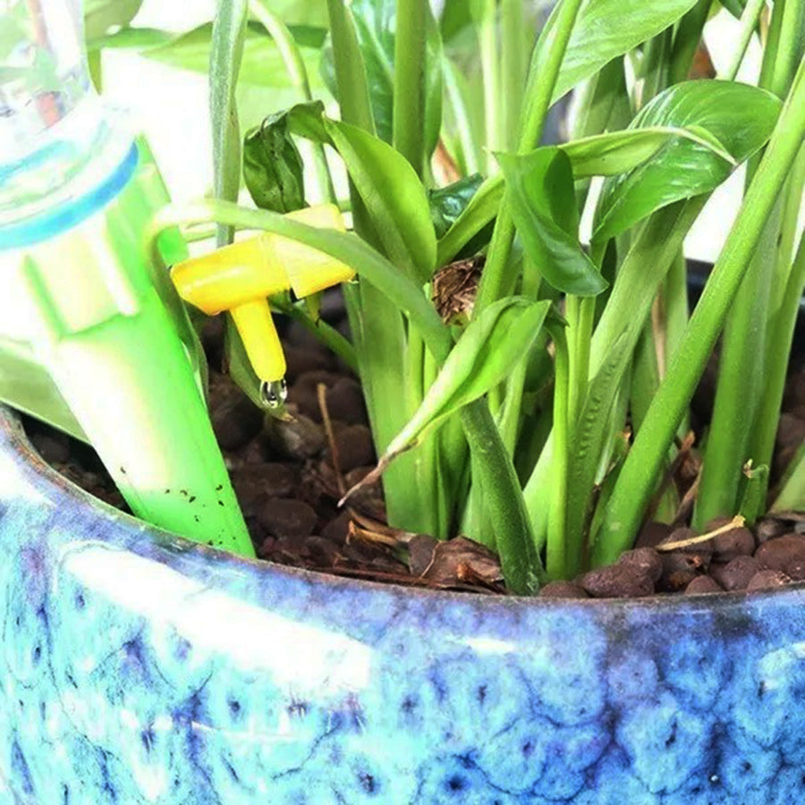 Irrigadores de plantas por gotejamento, kit de 10. Foto 3 do produto.